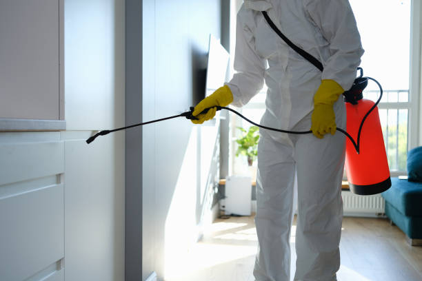 Best Biohazard Mold Removal  in Pell City, AL